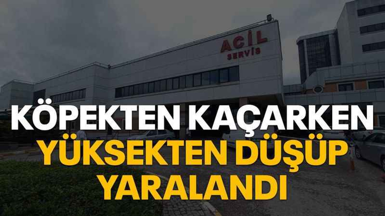 Köpekten kaçarken yüksekten düşüp yaralandı